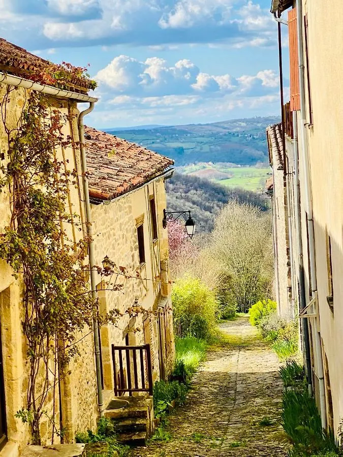 Gite Du Roc Peyrusse-le-Roc Holiday home